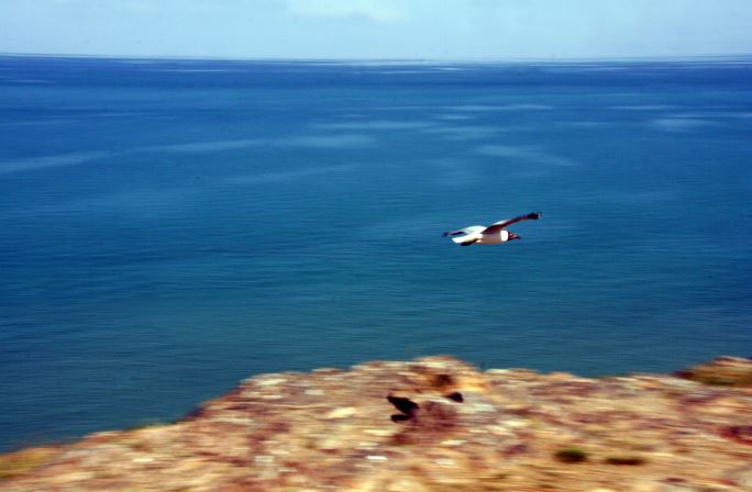 웹진 - 중국을주께로